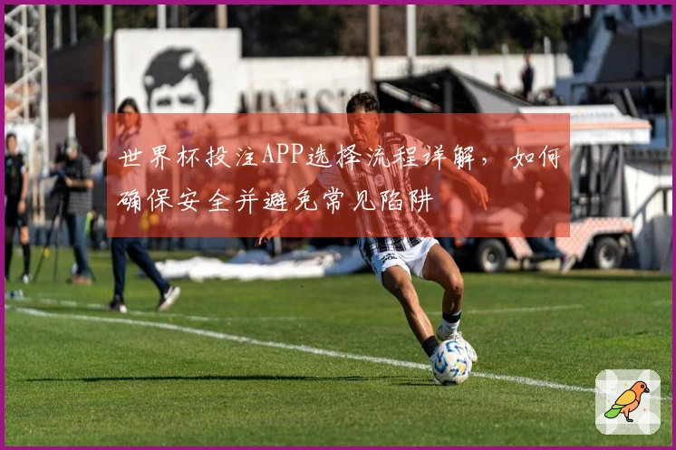 世界杯投注APP选择流程详解，如何确保安全并避免常见陷阱