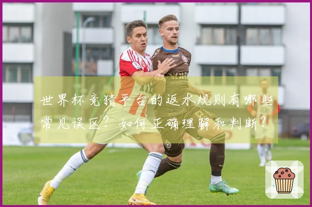 世界杯竞猜平台的返水规则有哪些常见误区？如何正确理解和判断？